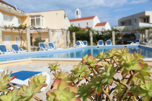 Hostal Spacious Bedroom For Two With Pool View - Pansion Hajduk
