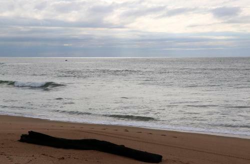 Curta Praia de Arma��o - Casa Girassol