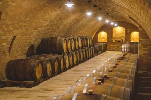 Bed & Breakfast Dominium Pinc�szet �s Panzi�