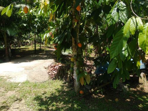 Chal�s Bela Vista