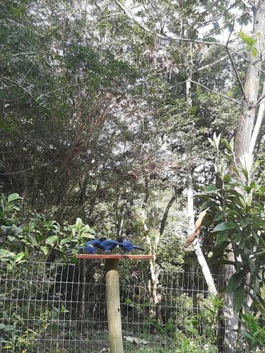 Morada P� Do Morro