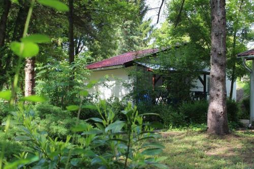 Danube Cottage