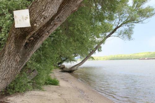 Danube Cottage