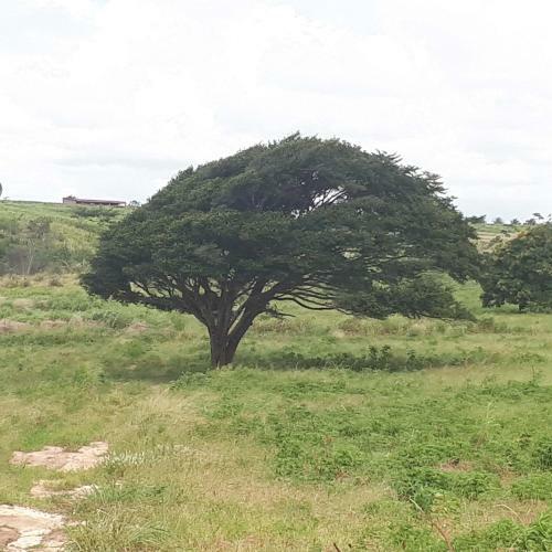 Hostal Vida Linda Su�te