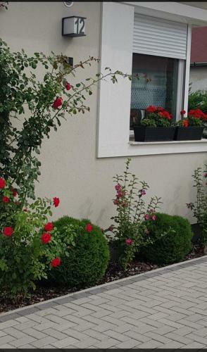 Margareta Home