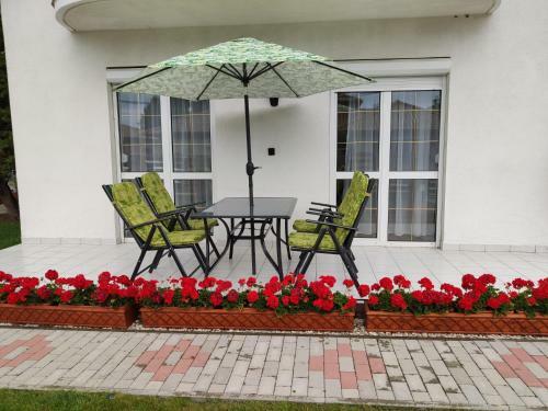 Apartamento Havasi Vend�gh�z