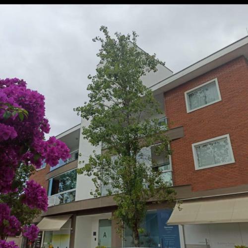 Novo!!! Apartamento Centro Pomerode