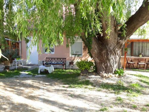 Hostal City Camping& Apartman &bungalow