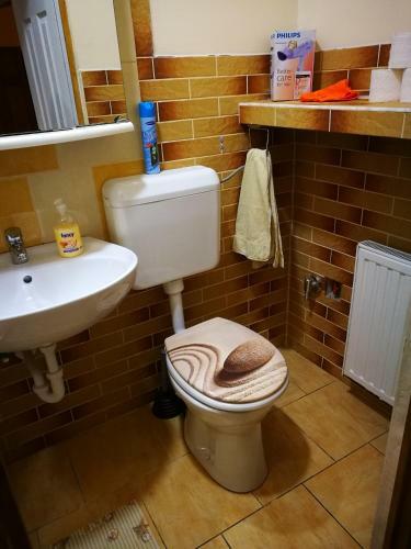 Hostal City Camping& Apartman &bungalow