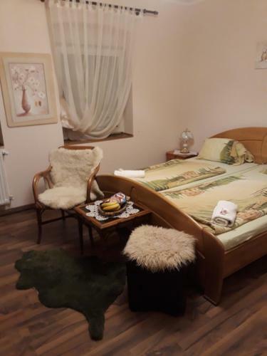 Hostal City Camping& Apartman &bungalow