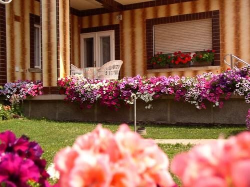 Am�lia Apartman