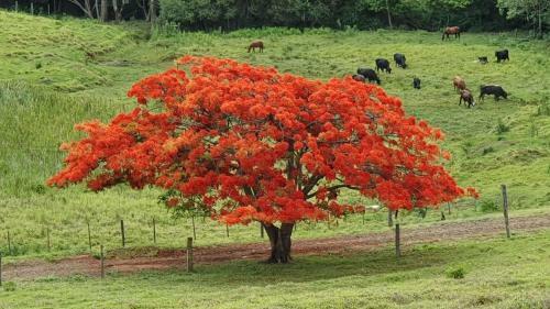 Posada Pousada Fazenda Pinhalzinho