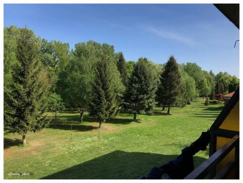 �va Apartman, Helikon-liget