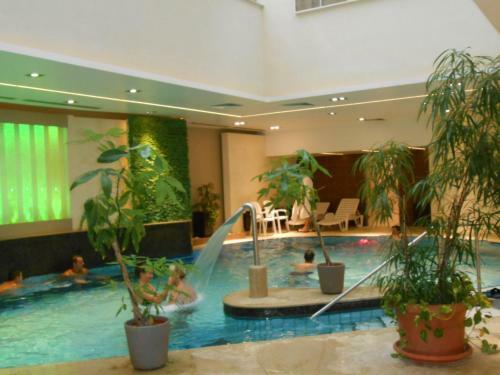 Pallace Wellness Apartment