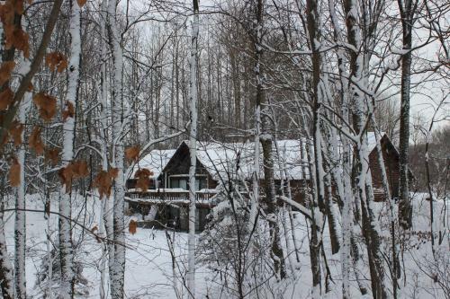 Bed & Breakfast Aubert Den