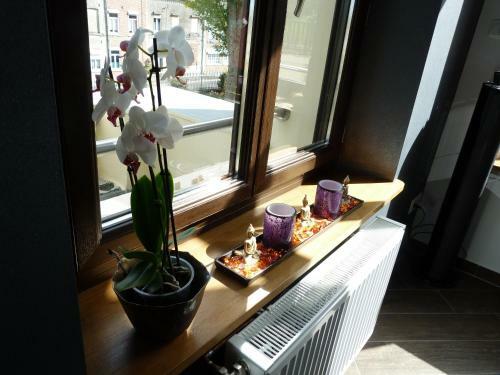 G�te Le Domaine Des Fagnes