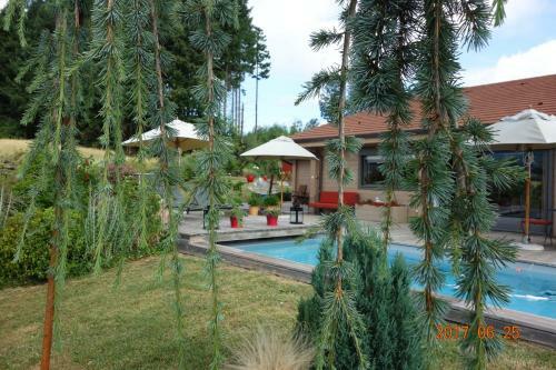 Bed & Breakfast Chambres D'h�tes - La Belmoni�re