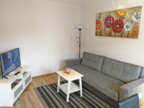 ?iauliai Central Apartment @ Trak? Street