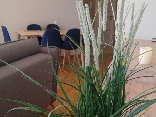 Apartamentai Elija Su Vaizdu ? J?r?