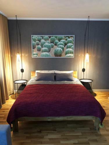 Kaktuss Apartamenti Smiltene