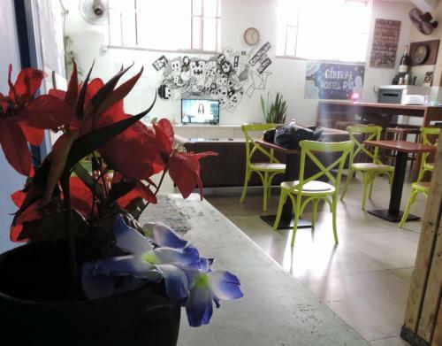 Central Hostel