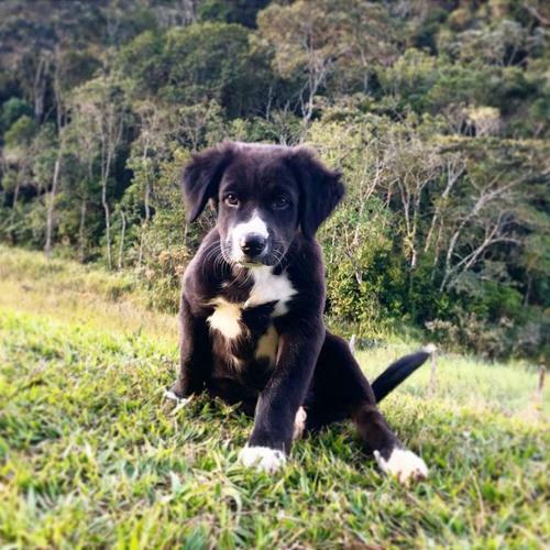 Sitio Recanto Da Pregui�a