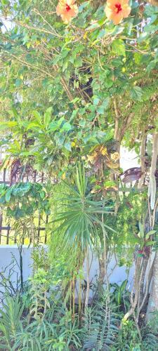 Casa de Praia Aconchegante Na Enseada