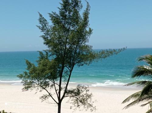 Waves Kitnet Frente A Praia