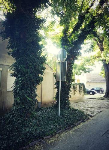 Hostal Centar