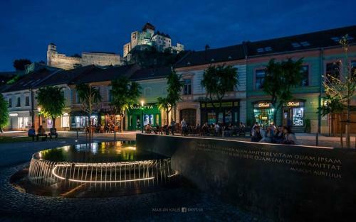 Panorama Apartmens Tren?�n