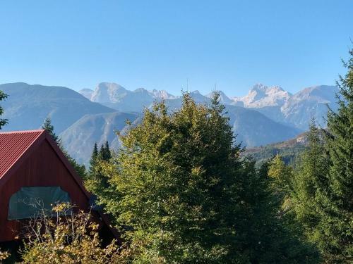 Woodywood House Bohinj