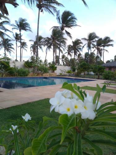 Hostal Vila Saguaro