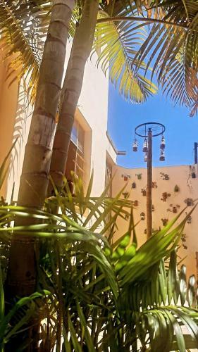 Hostel Paje�