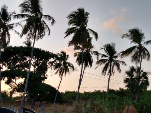 Sitio Nazar�