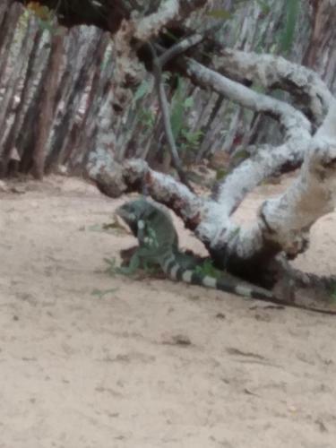 Sitio Nazar�