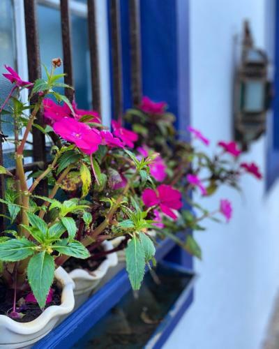 Apartamento Segredo Da Serra Guest House