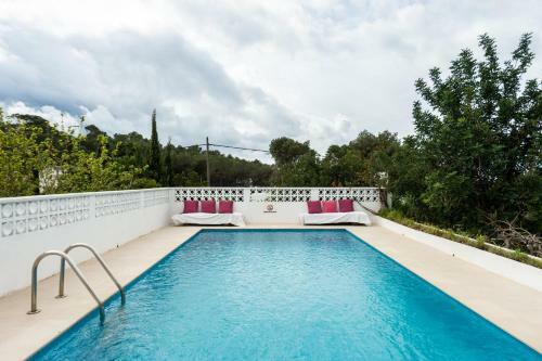 Villa Geckos