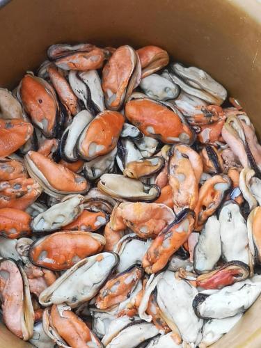 Apartamento My Home Mirelft