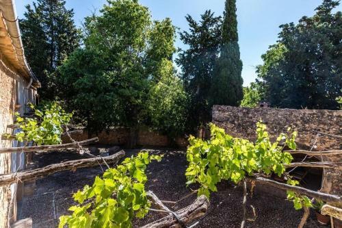 Villa Rafal Antic