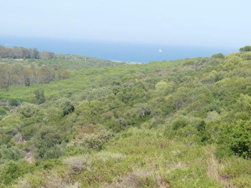 Apartamento Terrazas de Alcaidesa 2361