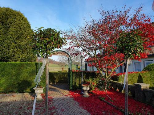 Apartamento Hotel-appartementen Vouwere