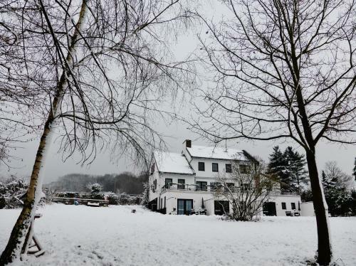 Bed & Breakfast Villa Witte Lelie