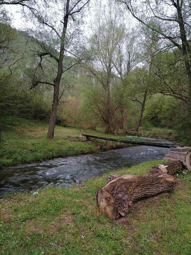 Apartman Dora