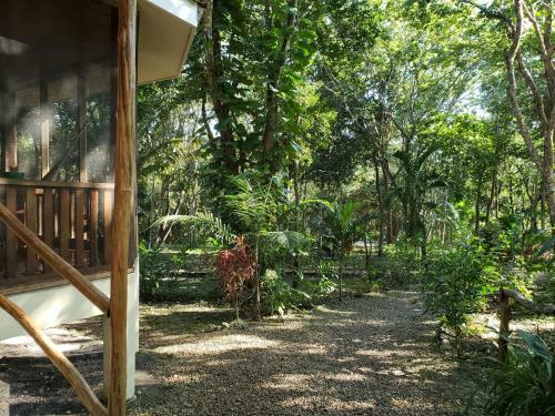 Hostal The Cabins At Monkey Fall
