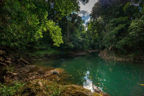 Drake Bay River View - Glamping Eco Lodge