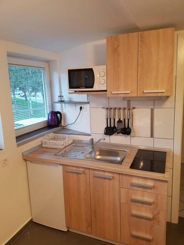 4 Seasons Apartment Radovljica