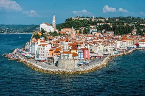 Apartment Istrian View