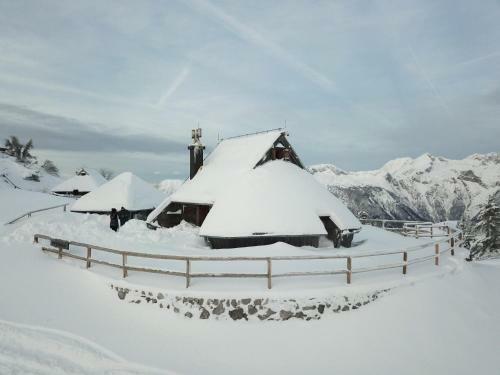 Ko?a Ojstrica - Velika Planina