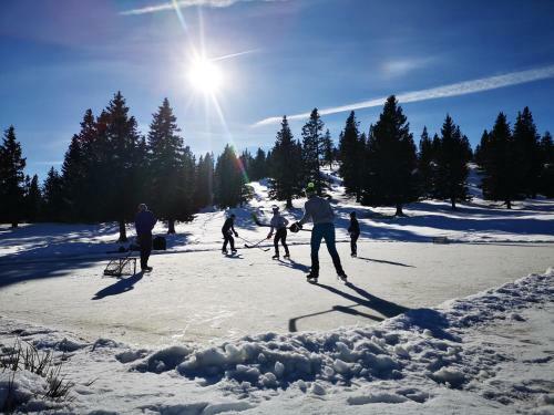 Ko?a Ojstrica - Velika Planina