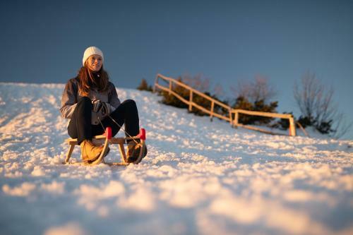 Ko?a Ojstrica - Velika Planina